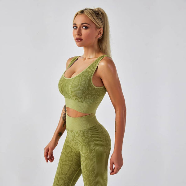 Ivy Seamless Sports Yoga Set